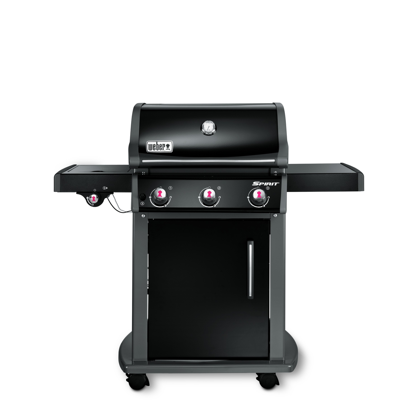 barbecue weber demonstration