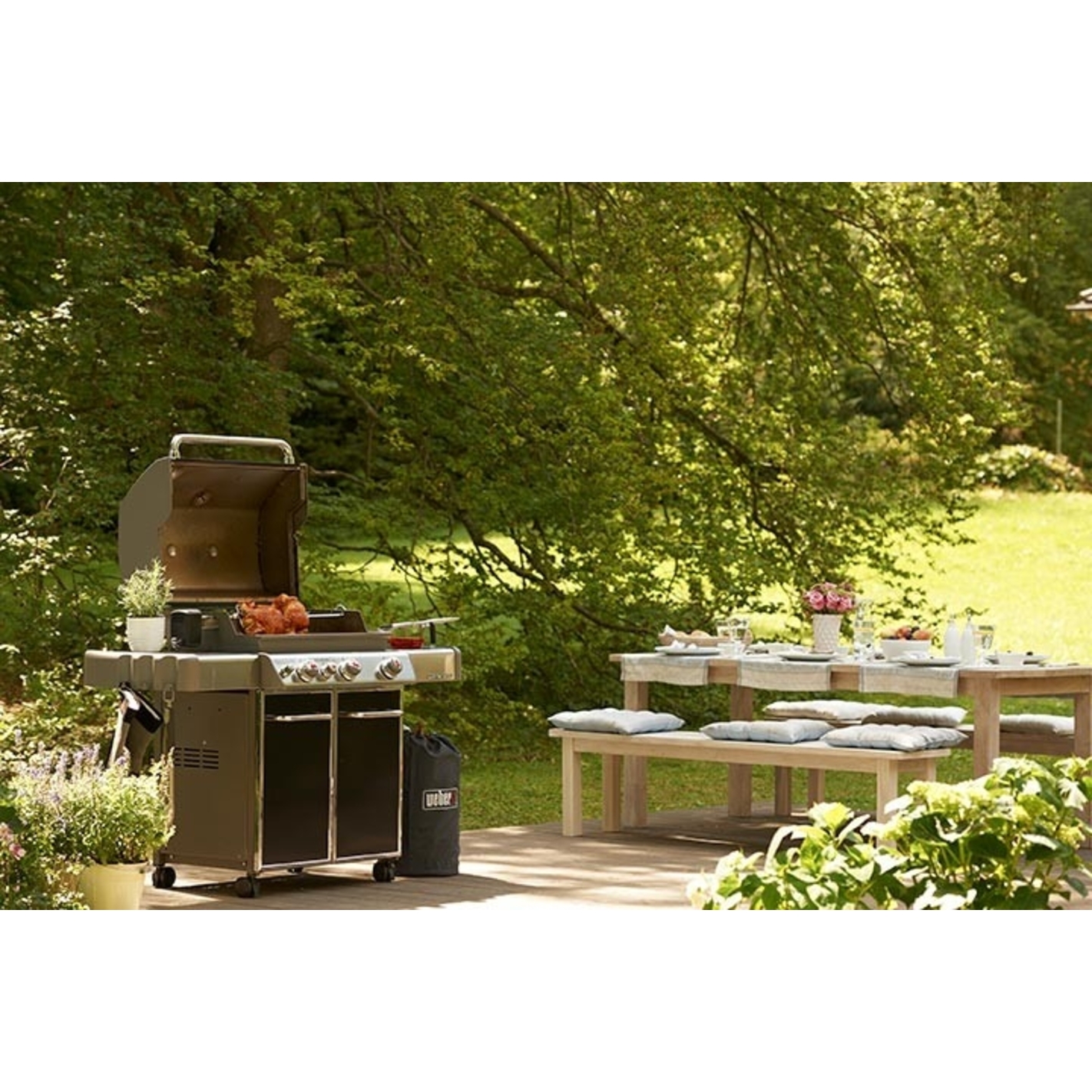 barbecue weber e 330
