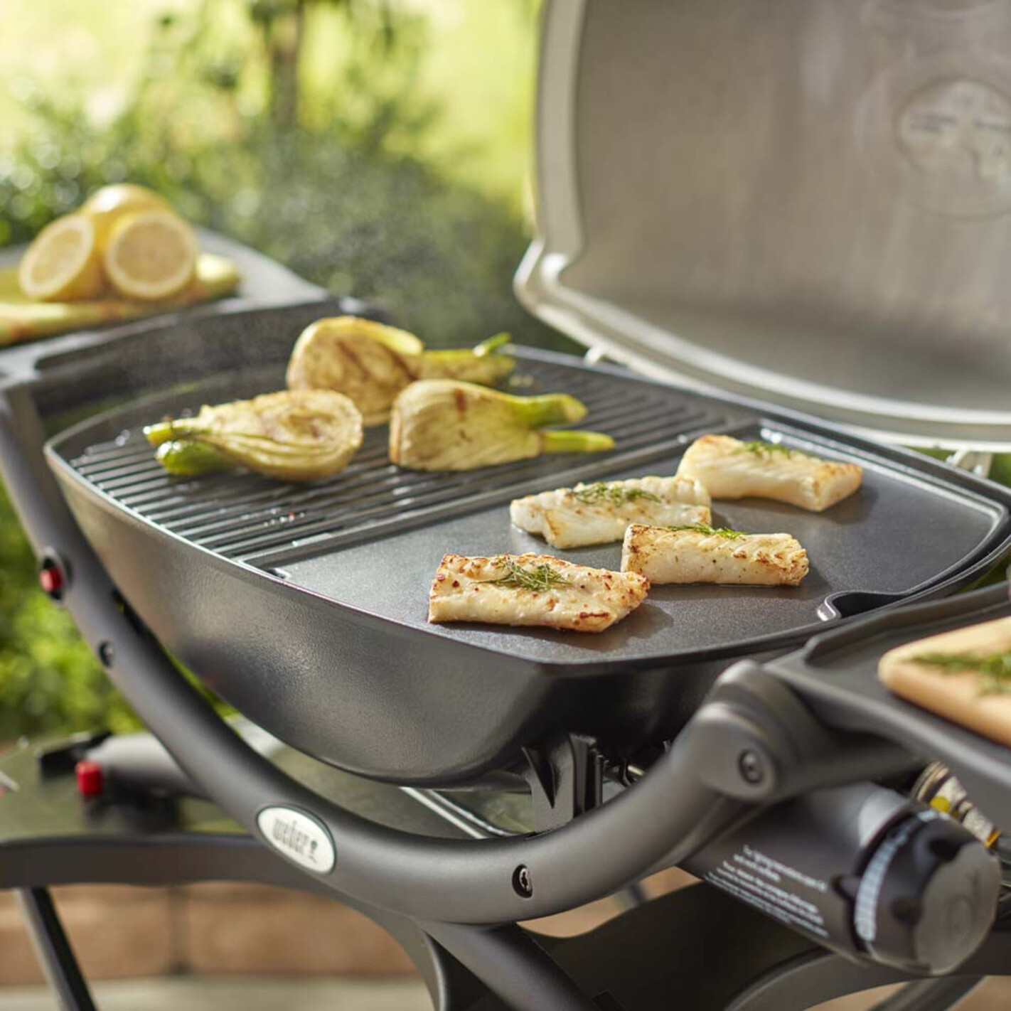 Plancha Weber Fonte Pour Barbecue Série Q 1000 - Accessoire Cuisson Sans Gras