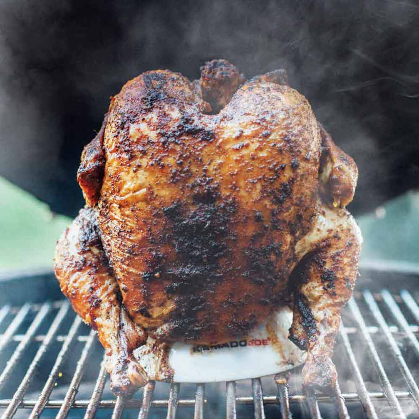 Support à Poulet Barbecue Qanye - Rôtissoire Verticale Inox Avec Lèchefrite Pour Four Et Grill