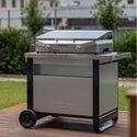 Chariot DELUXE Plancha 2 Brûleurs + Barbecue Attitude - Campingaz