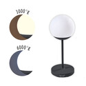 Lampe de table Mooon 63 cm Carbone - Fermob