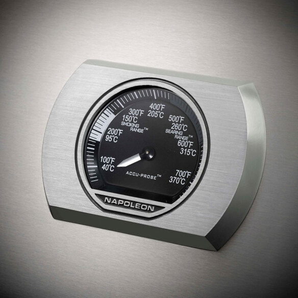 Thermomètre Accu Probe Rogue RSE Inox 525