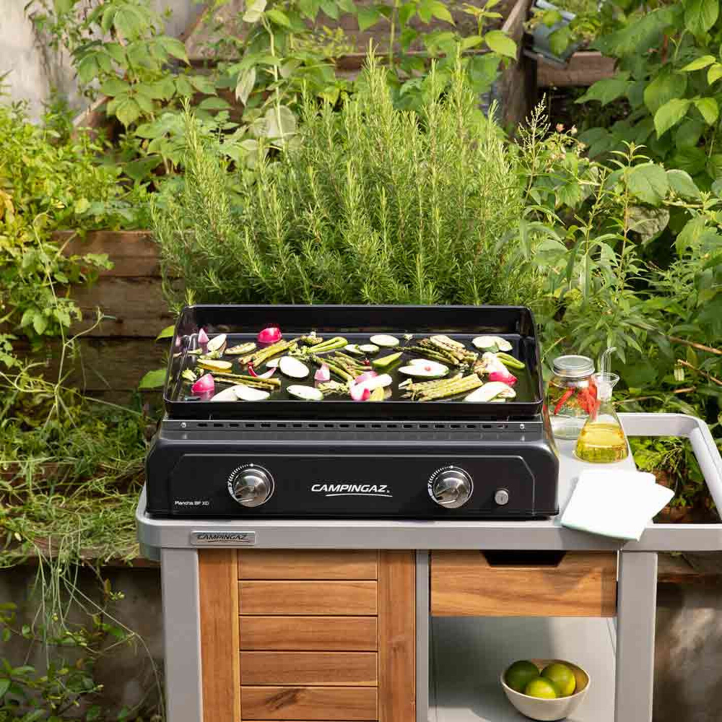 Housse de protection pour barbecue & plancha - Gamm vert