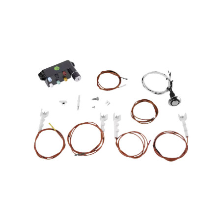 Kit allumage barbecue Genesis II Weber 67532