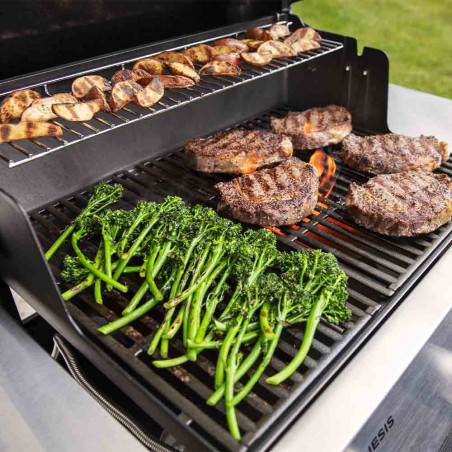 Surface cuisson barbecue gaz Genesis E-315 Weber