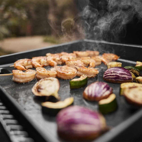 Surface de cuisson en fonte émaillée