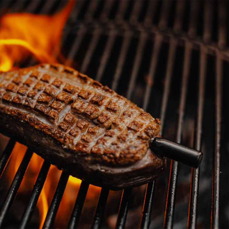 Thermomètre Barbecue Grille Acier Inoxydable Qiorange - Température 50-500°C / 100-1000°F Type C