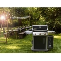 Barbecue Weber Spirit Premium E320 GBS