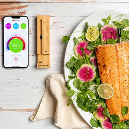 Thermomètre MEATER Plus avec nourriture lifestyle Thermomètre MEATER Plus avec nourriture lifestyle