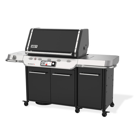 SUMMIT FS38X E Weber - Studio latéral droit