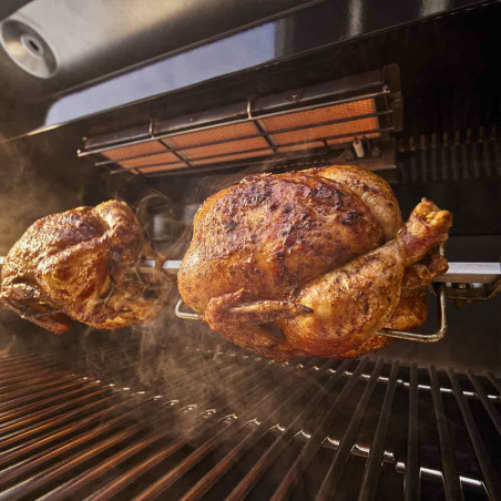 SUMMIT FS38X E Weber - rôtisserie