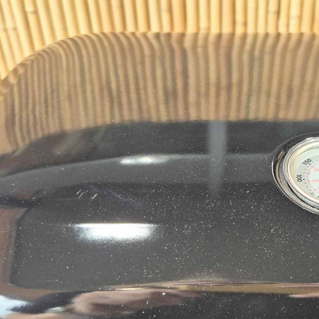 Modèle d'expo - zoom sur la rayure du barbecue électrique Lumin Compact noir Weber