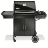Barbecue Spirit classic E310 - Ancien* Barbecue Spirit classic E310 - Ancien*