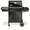 Barbecue Spirit classic E310 - Ancien*