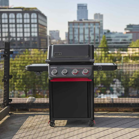 Spirit EPX-435R Stealth Weber - Extérieure