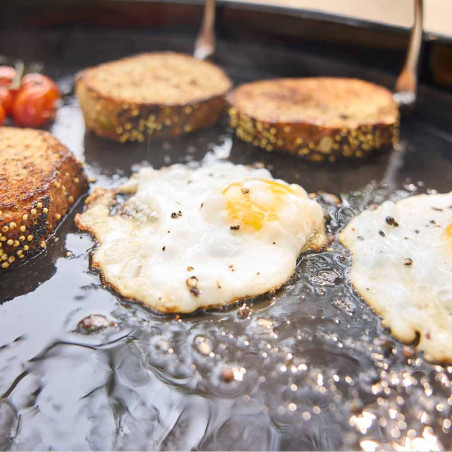 Barbecue PERFORMER 57 cm 2026 Weber - cuisson