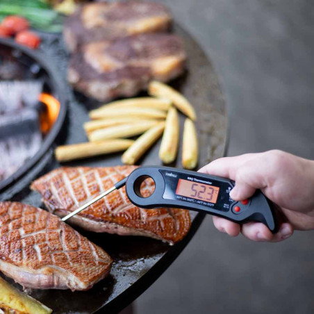 Utilisation du thermomètre barbecue digital Grillfürst sur un morceau de viande