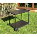 Chariot Plancha "Charlie Varie"