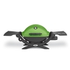 Barbecue à Gaz Weber Q1200 Vert