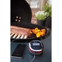Thermomètre sans fil iGrill 2 Weber Thermomètre sans fil iGrill 2 Weber