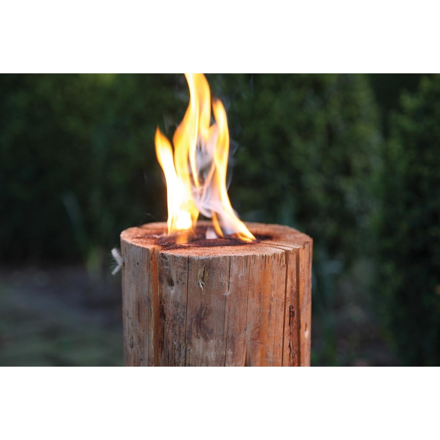 Le Flambeau Betisier Brasero - Flambeau suèdois 50 cm - Barbecue