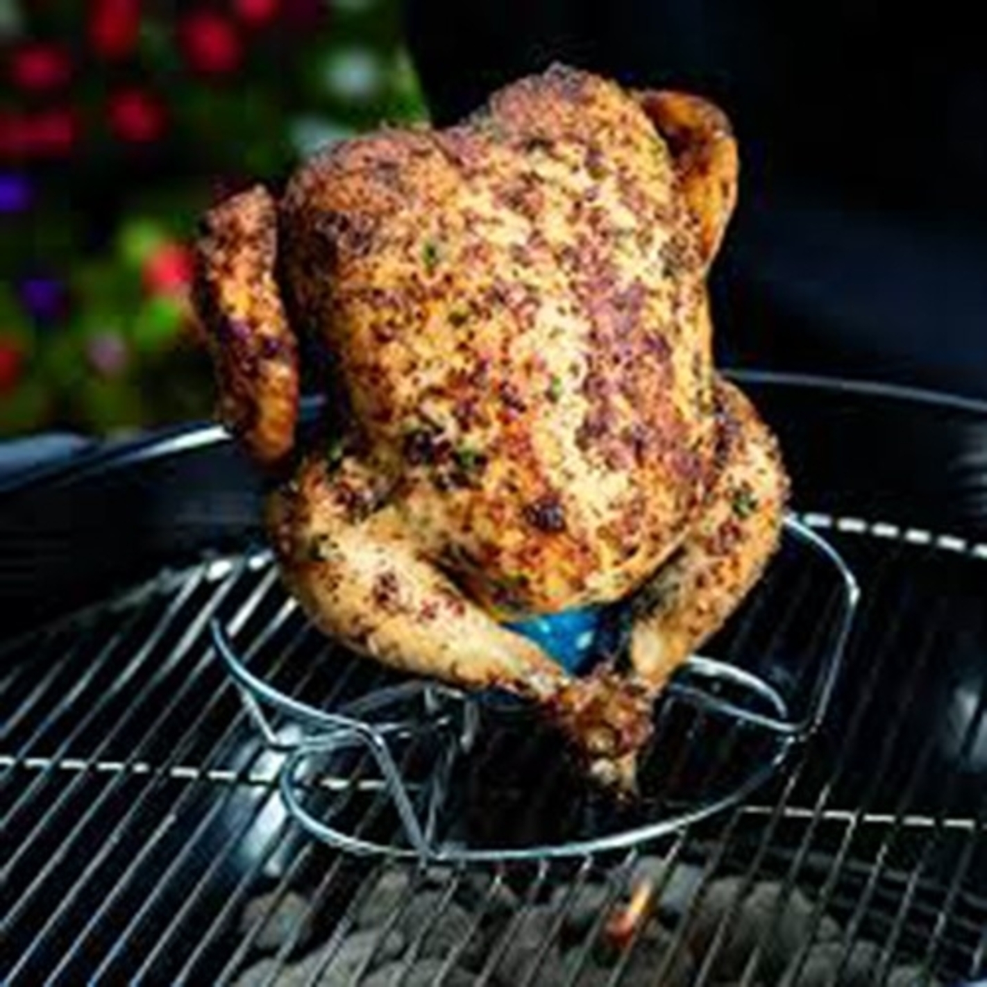 Support de support de poulet support de gril rôtir le barbecue côtes  antiadhésives en acier inoxydable 