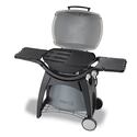 Pack barbecue Q3200 + plancha fonte Weber