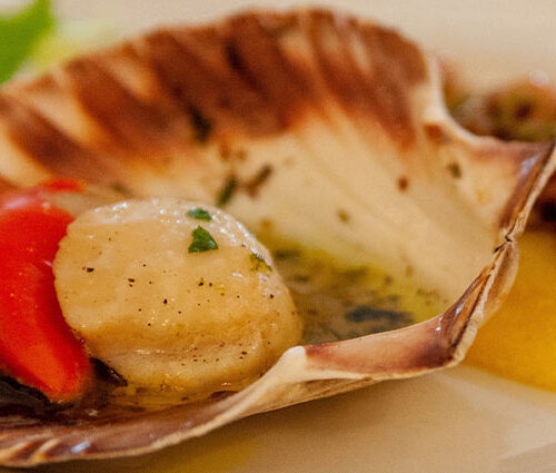 Coquilles Saint-Jacques à la truffe rôties au brasero