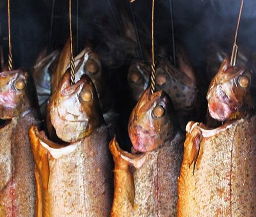 Truite fumée à chaud et marinade épicée