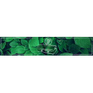 Plancha Professionnelle