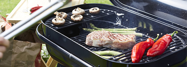 Grille de cuisson centrale en fonte émaillée réglable sur 2 niveau