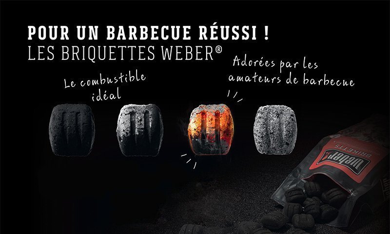 bannière Weber briquette