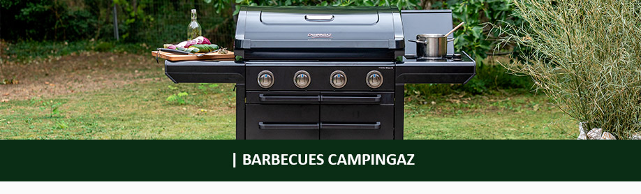 CAMPINGAZ - BARBECUE GAZ Master 4 Classic EXS - 4 Brûleurs en inox