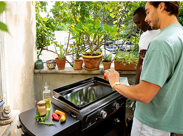 Cuisinière a gaz vert de camping en plein air en plus 2 cartouches gaz