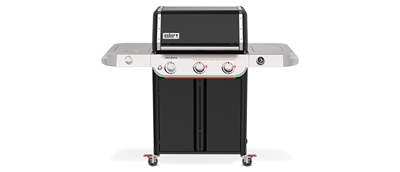 Barbecue Genesis E Weber