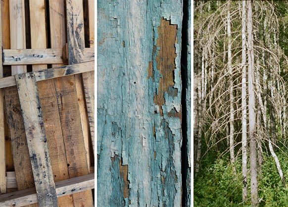 Gros morceaux de bois de fumage - mesquite Weber - , N°1 du  chauffage au bois sur Internet