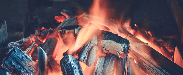 💥 Meilleurs charbons de bois 2024 - guide d'achat et comparatif