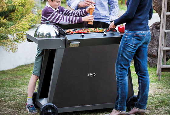 Plancha Bergerac ENO sur Chariot Jardin