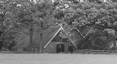 Panier a Pellets La source de Chaleur venue de Scandinavie