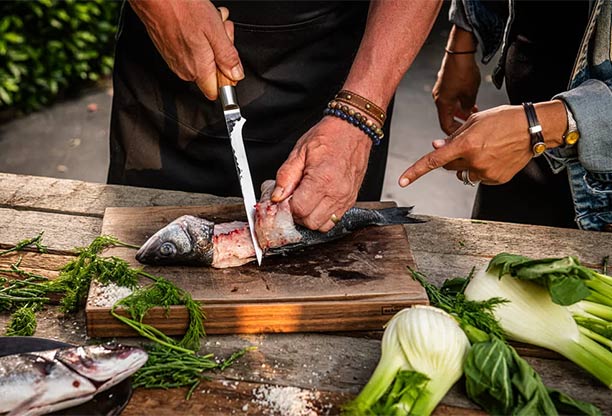 Couteau à filet Olive Forged découpant du poisson