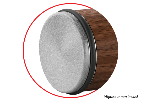 zoom sur disque en diamant standard HORL 2