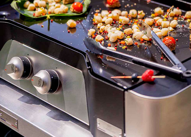Châssis en inox marin de la plancha Exclusive 260