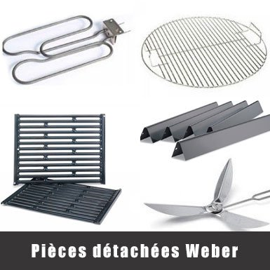 Barbecue Weber Gaz, charbon, électrique Esprit Barbecue Pièces Détachées Weber