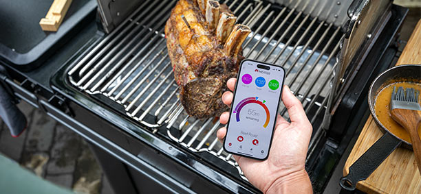 Utilisation du thermomètre connecté MEATER Pro