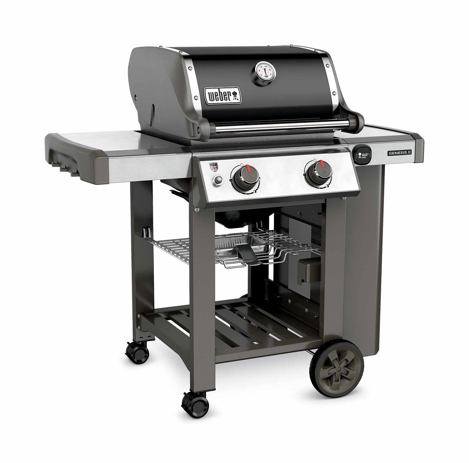 Barbecue Genesis II E210