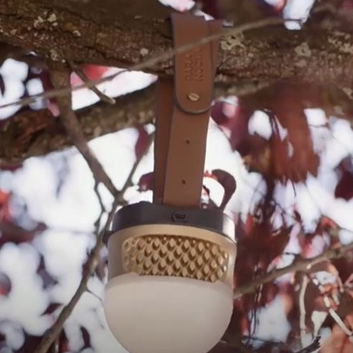 Ampoule Bulbee Paranacto suspendue dans un arbre grâce à la sangle de fixation