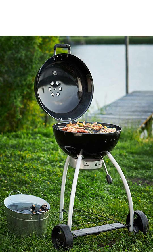 Alt de l'image du barbecue