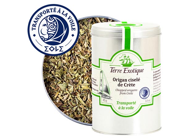 Vue sur le pot d'origan ciselé de Crète de Terre Exotique