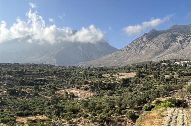 Paysage de Crète où pousse le romarin cultivé par Terre Exotique